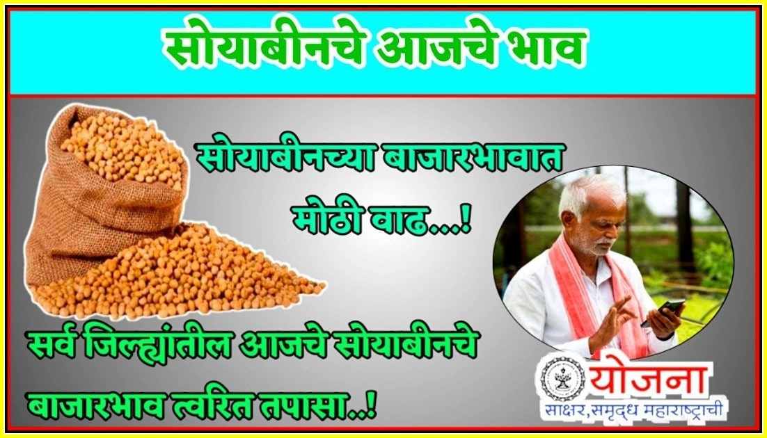 soyabean-price-today 